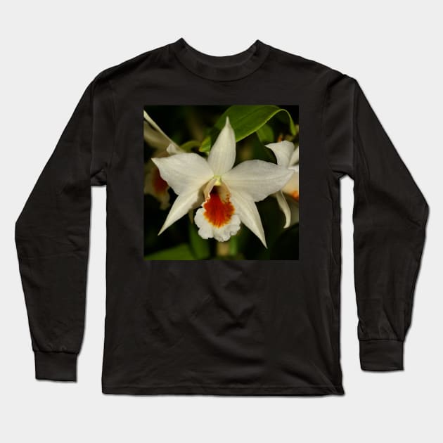 White Cimbidium Orchid Long Sleeve T-Shirt by Carole-Anne